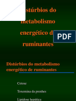 disturbio-metabolismo-energetico