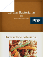 Células Bacterianas
