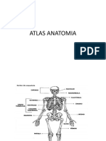 Atlas Anatomia