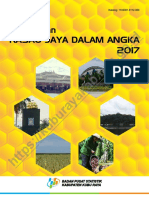 Kecamatan Rasau Jaya Dalam Angka 2017