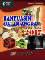 Download Kabupaten Banyuasin Dalam Angka Tahun 2017 by Aryo Bungsuh Carang SN364872795 doc pdf