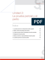 Peritaje_UDAD2.pdf