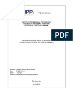 315288781-Informe-Practica-2015-IPP.docx