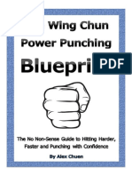 Wing Chun Power Punching Blueprint in PDF format