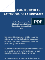 01.-Patologia Testicular y Prostata - Practica