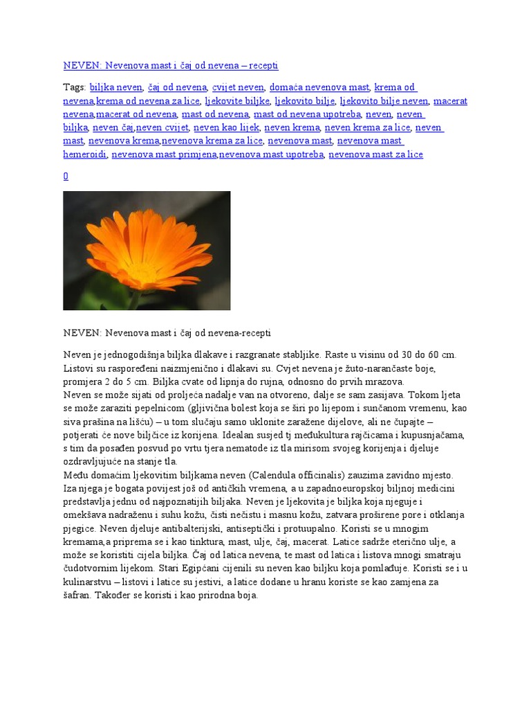Neven | PDF