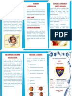 Triptico de La Tierra PDF