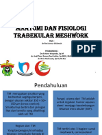 Basic Reading 3 Trabecular Meshwork