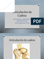 Articulación de cadera: evaluación y diagnóstico