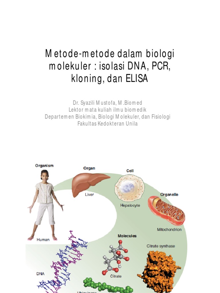 Metode Metode Pemeriksaan Dan Aplikasi Dalam Biologi Molekuler