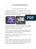 136152558-Espiroquetas-y-Otros-Microorganismo-Espirales.docx