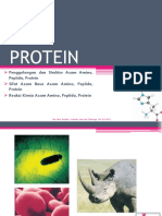 Protein