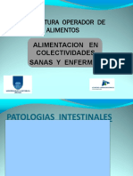 Patologias intestinales