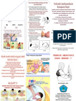 Leaflet Teknik Menyusui Yang Benar