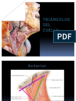 44989487-Triangulos-Del-Cuello.pdf