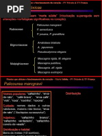 Plantas Cardiotoxicas Copia Para Alunos