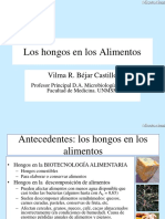 Hongos-alimentos 2016.ppt