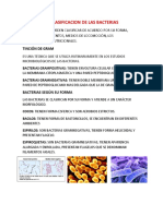 La Clasificacion de Las Bacterias