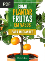 Como Plantar Frutas Em Vaso Iniciantes