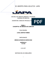 Tarea-i-procesal-penal-II-mirian - Lista para Enviar El Miercoles 8 Del 10, 2017