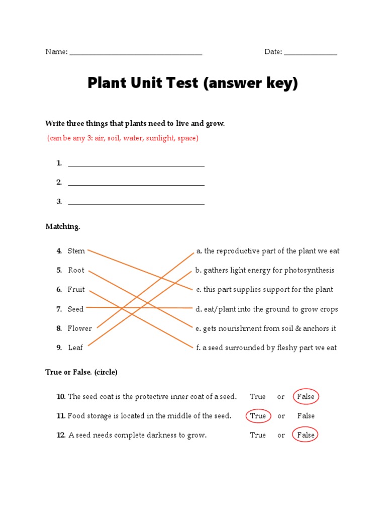 Plant Unit Test Answer Key | PDF | Plants | Seed