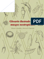 Calzadilla, Churchill - 2014 - Glosario Ilustrado para Musgos Neotropicales