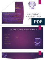 Presentación UPE.pptx
