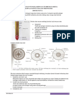 246432324 Struktur Dan Fungsi Jaringan Tumbuhan Serta Pemanfaatnnya Dalam Teknologi Lks PDF