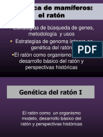 Genética de Mamíferos Raton 1A Slides