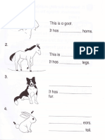 Animals Year 2 PDF