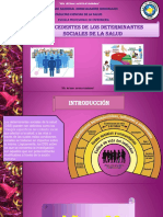 DETERMINANTES SOCIALES.pptx