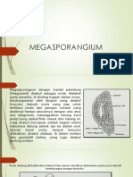 Megasporangium