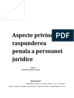 Raspunderea Penala A Persoanei Juridice8