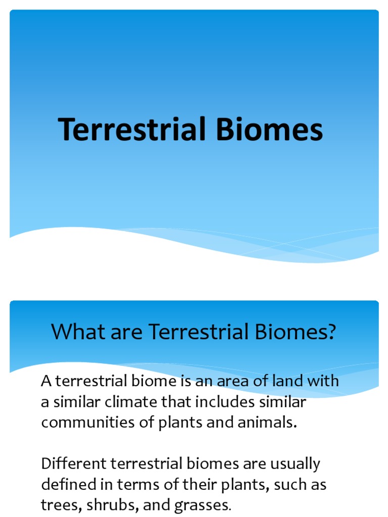 Overview of Terrestrial Biomes | PDF | Science & Mathematics ...