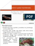 Sistem Endokrin Pada Invertebrata