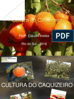 Caquizeiro .pptx