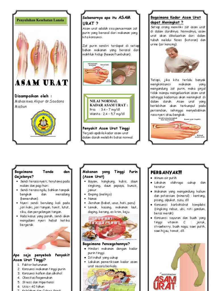 Asam Urat Pdf