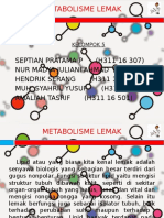 OPTIMASI METABOLISME LEMAK