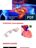 Anatomia Cardiovascular