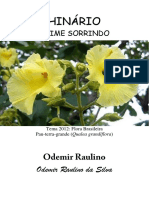 Odemir Raulino - Daime Sorrindo - Tablet.pdf