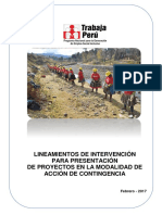 LINEAMIENTOS ACCION DE CONTINGENCIA 2017 (1).pdf