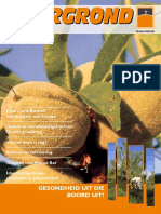 Orania Voorgrond Feb 081 PDF