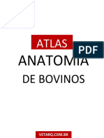 Atlas - Anatomia de Bovinos