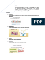 El Dogma Central de La Biología