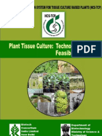 Plant Tissue Culture. Techno-Commercial Feasibility