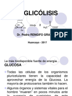 Carbohidratos III Vías Metabólicas 2