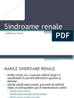 Sindroame renale