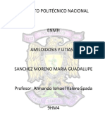 Amiloidosis y Litiasis. 