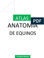 Atlas de Anatomia Do Cavalo