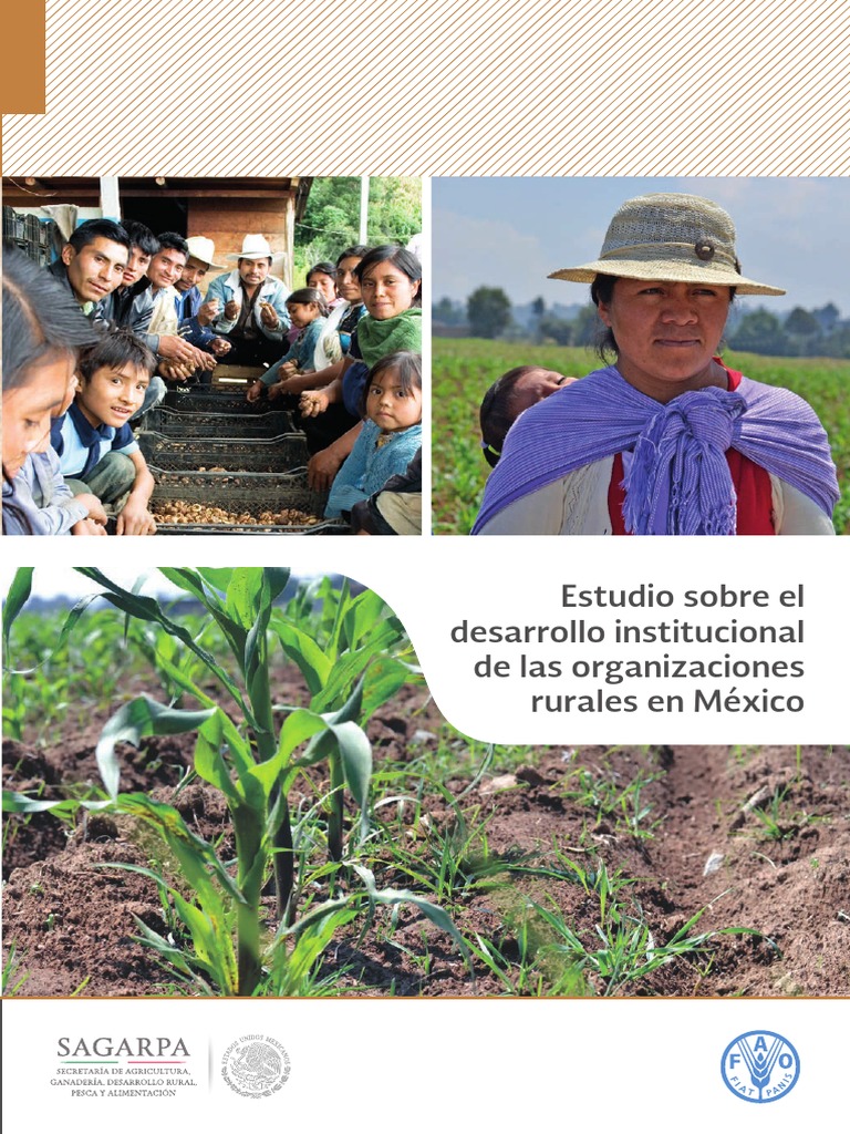 5 Estudio Sobre El Desarrollo Institucional de Las Organizaciones ...